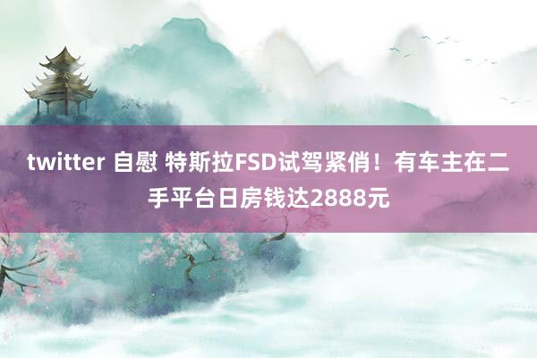 twitter 自慰 特斯拉FSD试驾紧俏！有车主在二手平台日房钱达2888元