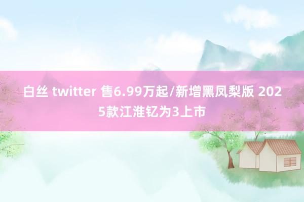 白丝 twitter 售6.99万起/新增黑凤梨版 2025款江淮钇为3上市