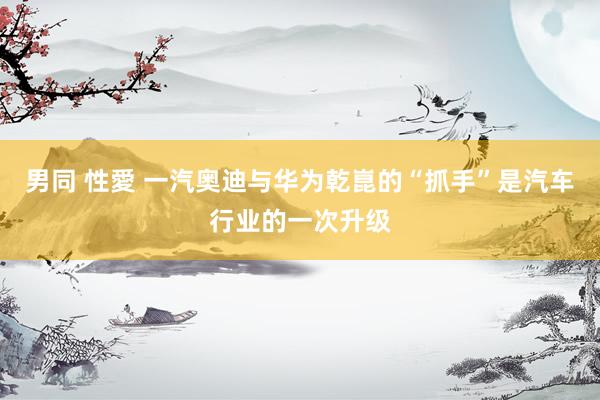 男同 性愛 一汽奥迪与华为乾崑的“抓手”是汽车行业的一次升级