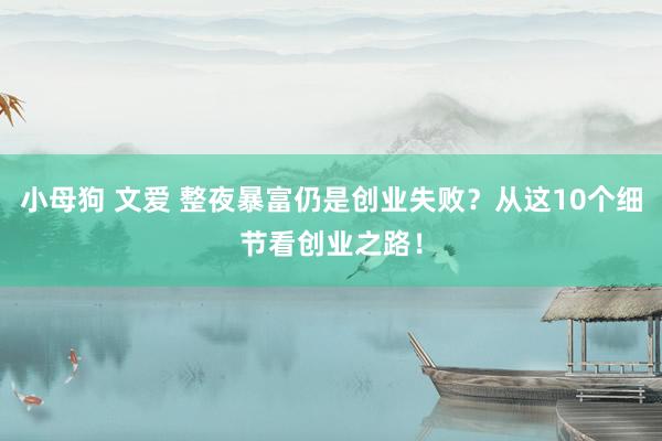 小母狗 文爱 整夜暴富仍是创业失败？从这10个细节看创业之路！