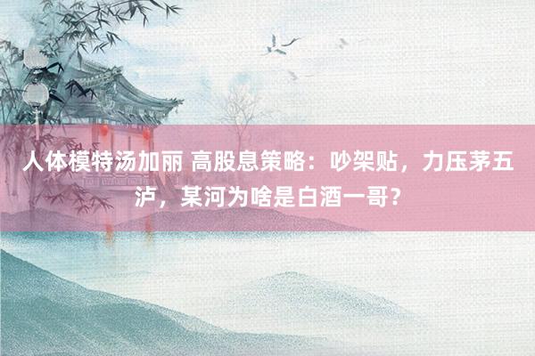 人体模特汤加丽 高股息策略：吵架贴，力压茅五泸，某河为啥是白酒一哥？