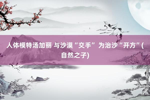 人体模特汤加丽 与沙漠“交手” 为治沙“开方”(自然之子)