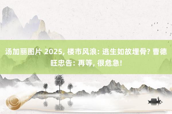 汤加丽图片 2025， 楼市风浪: 逃生如故埋骨? 曹德旺忠告: 再等， 很危急!