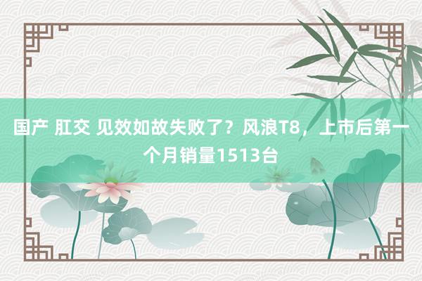 国产 肛交 见效如故失败了？风浪T8，上市后第一个月销量1513台