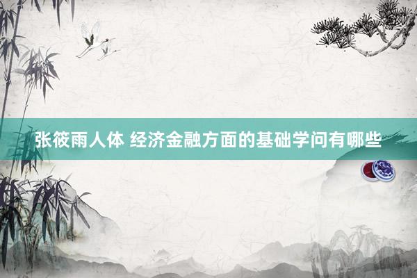 张筱雨人体 经济金融方面的基础学问有哪些