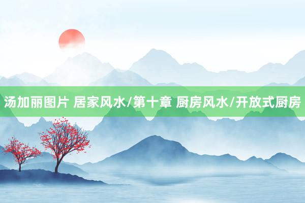 汤加丽图片 居家风水/第十章 厨房风水/开放式厨房