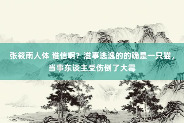 张筱雨人体 谁信啊？滋事逃逸的的确是一只猫，当事东谈主受伤倒了大霉