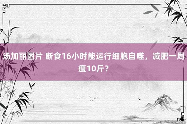 汤加丽图片 断食16小时能运行细胞自噬，减肥一周瘦10斤？